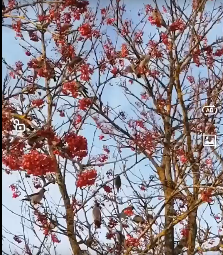 У природы нет плохой погоды....