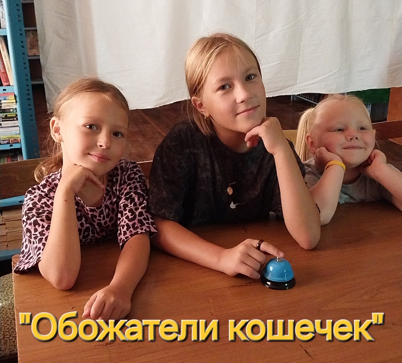КОТОЭРМИТАЖ.